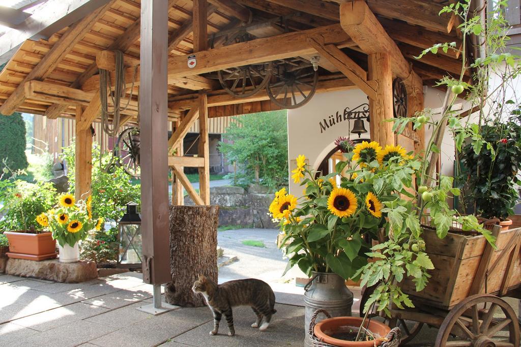 Landgasthof Untere Muehle Alpirsbach Bagian luar foto
